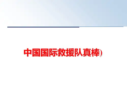 最新中国国际救援队真棒)