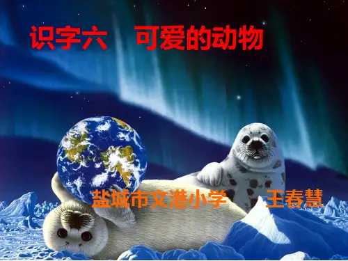 苏教版二年级下册语文识字六精品PPT课件