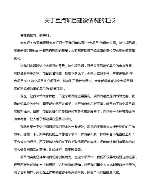 关于重点项目建设情况的汇报