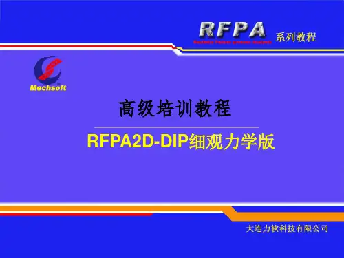 RFPA2D教程