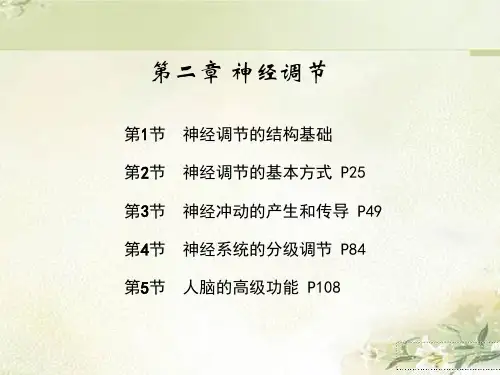 新教材人教版高中生物选择性必修1 第2章神经调节 精品教学课件(共122页)