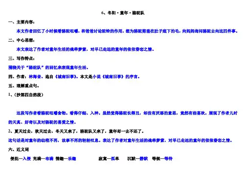 6冬阳童年骆驼队