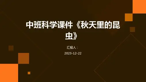 中班科学课件《秋天里的昆虫》