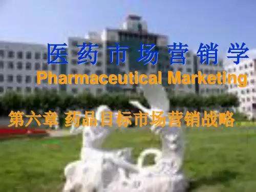 药品目标市场营销战略6
