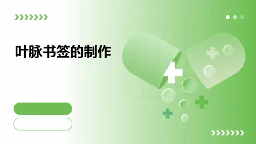 叶脉书签的制作