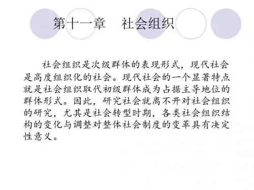 社会学第十章 社会组织