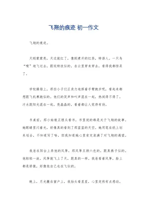 飞翔的痕迹 初一作文