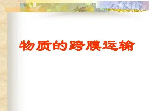 渗透作用2