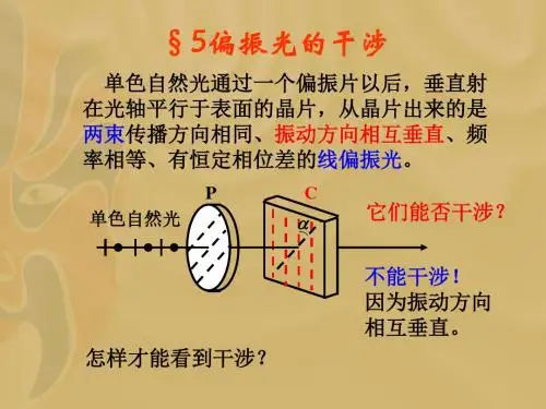 偏振光的干涉
