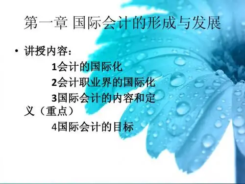 国际会计课件第一章