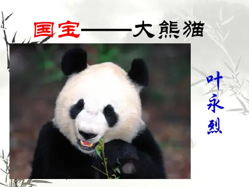 国宝——大熊猫 PPT
