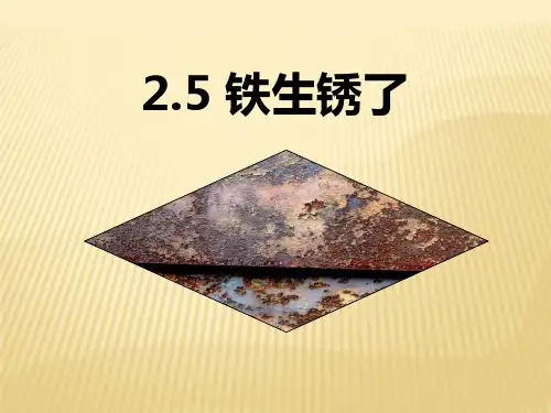 六年级上铁生锈 青岛版(六年制)