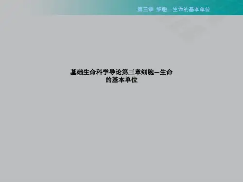基础生命科学导论第三章细胞—生命的基本单位