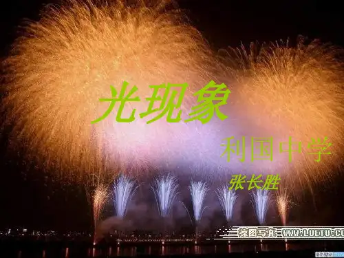 常见的光源(初中 物理课件)
