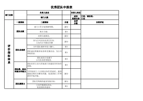 优秀团队申报表