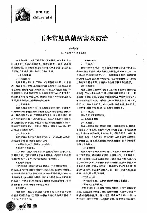 玉米常见真菌病害及防治