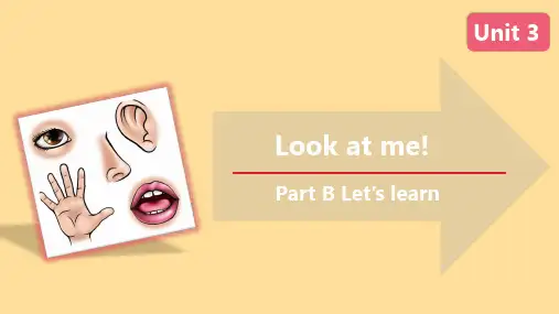 人教PEP英语三年级上册-Unit 3 Look at me!B Let’s learn