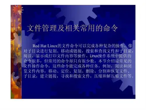 linux讲义_文件管理和相关的命令