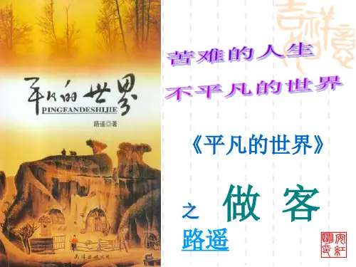 《平凡的世界》之_做客