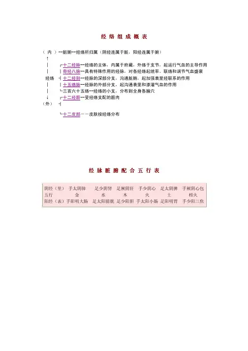 图解十二经脉