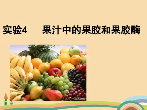 高一生物果汁中的果胶和果胶酶PPT教学课件