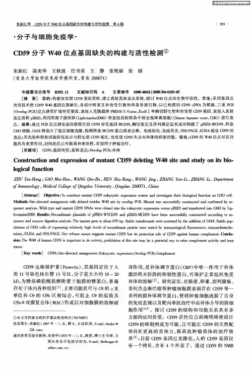 CD59分子W40位点基因缺失的构建与活性检测