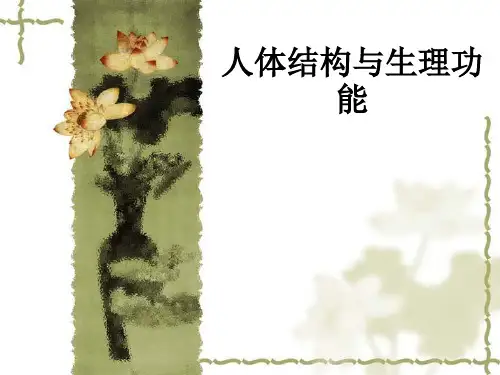 人体结构与生理功能ppt课件