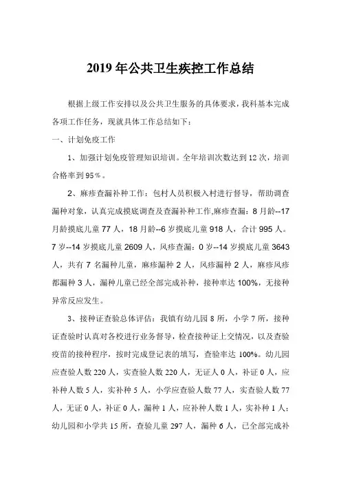 2019年疾控工作总结