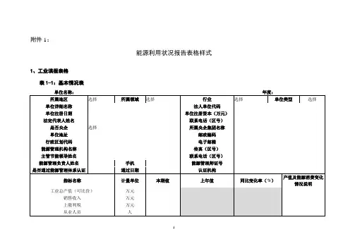 国家节能报表1