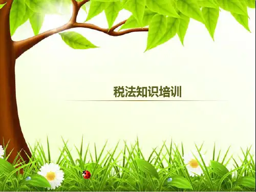 税法基础知识培训