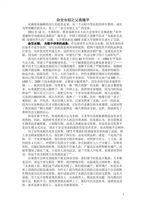 杂交水稻之父袁隆平