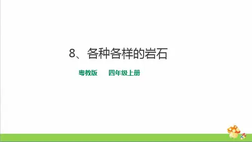 粤教版四年级上册科学2.8《各种各样的岩石》教学课件