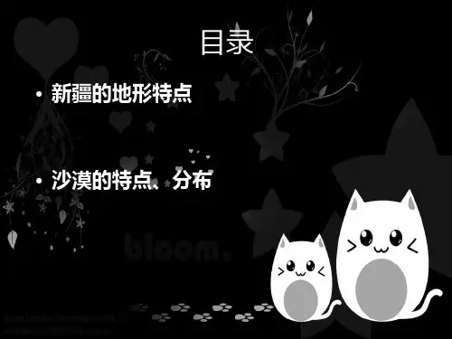 新疆地理介绍