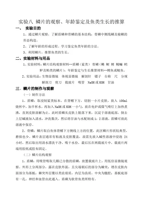 08-实验八-鳞片的观察、年龄鉴定及鱼类生长的推算-鱼类学实验