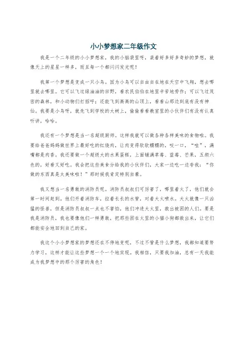 小小梦想家二年级作文