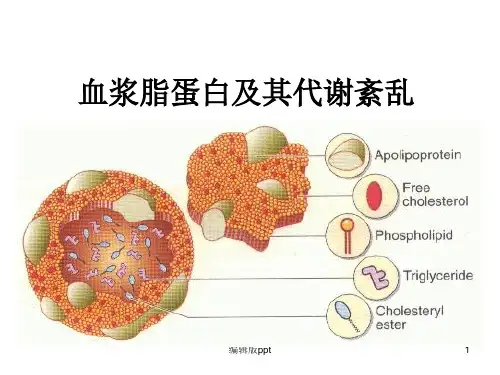 血浆脂蛋白及其代谢紊乱PPT课件