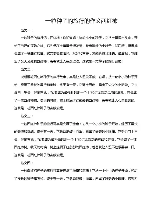 一粒种子的旅行的作文西红柿