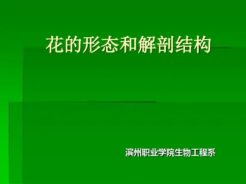 花的形态和解剖结构全解