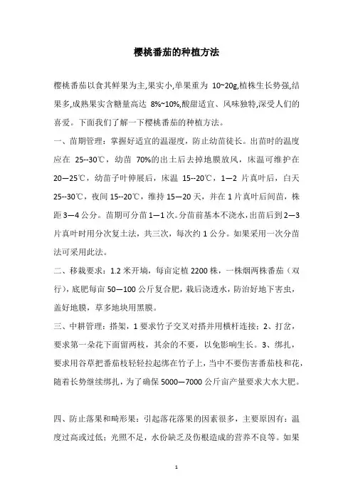 樱桃番茄的种植方法