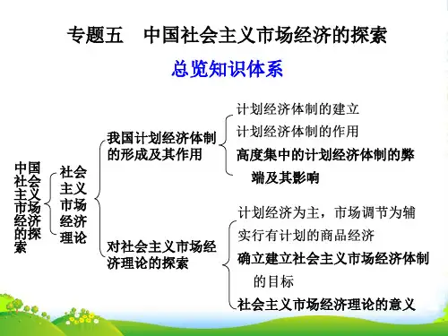 高中政治 专题五 中国社会主义市场经济的探索课件 新人教选修2