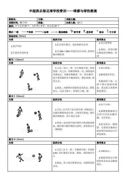 中超俱乐部足球学校青训——球感与球性教案