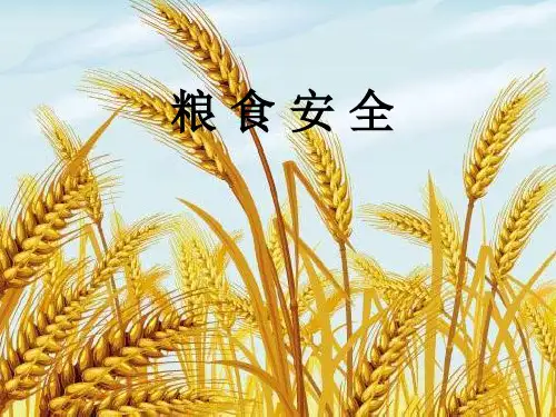 粮食安全
