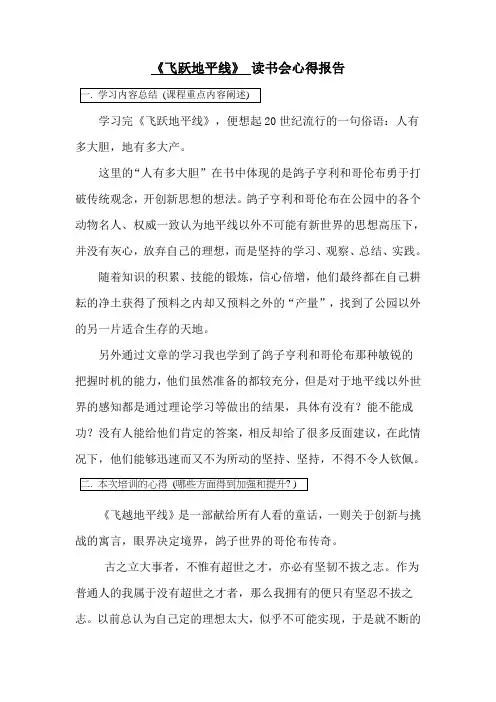 《飞跃地平线》读后感