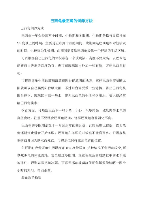 巴西龟最正确的饲养方法