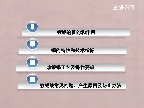 镀锡工艺 课件
