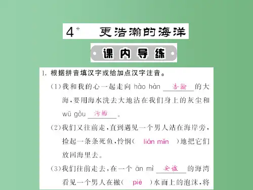 九年级语文下册 4 更浩瀚的海洋 语文版