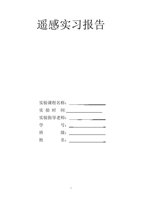 遥感实验报告 毕业论文