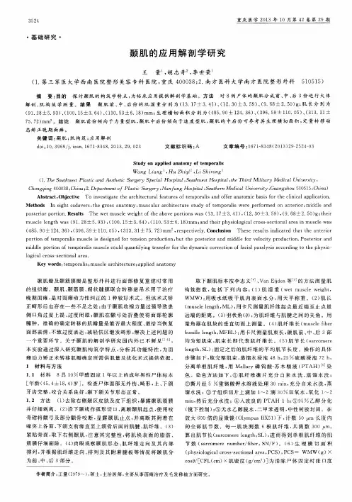 颞肌的应用解剖学研究