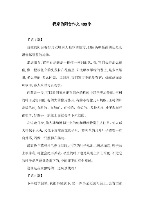 我家的阳台作文400字 2