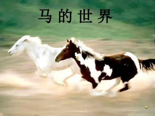 马 的 世 界(终极版)